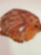 Cinamon chocolate croissant
