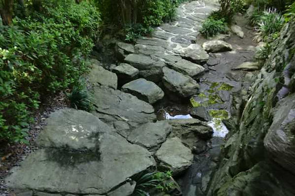沢と園路