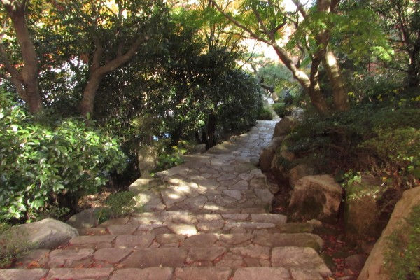 A 受付棟までの路