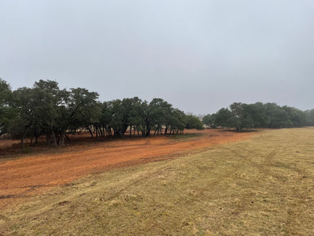 The Benefits of Forestry Mulching Services