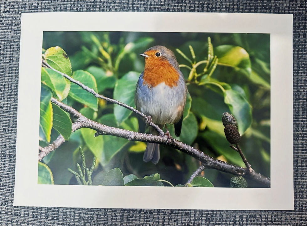 Fine art photographic print showing tonal depth and paper texture