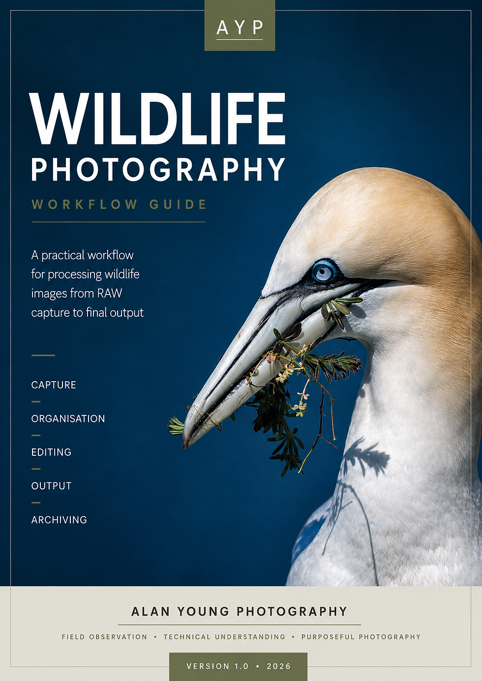Workflow Guide Cover of Guide