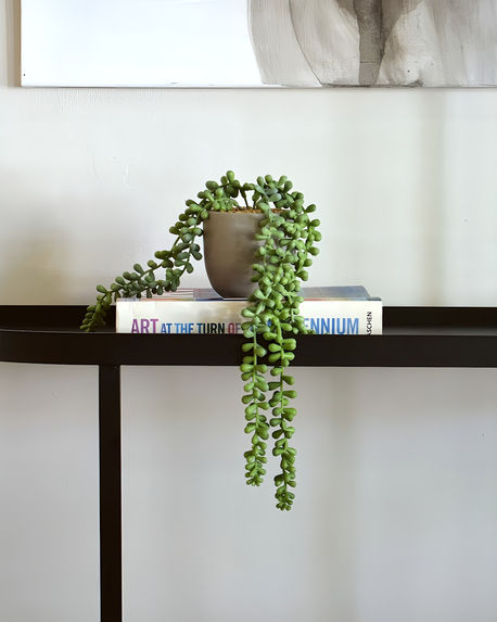 Floating console shelf with stacked design books, trailing potted plant, and minimalist decorative styling against a pale wall.