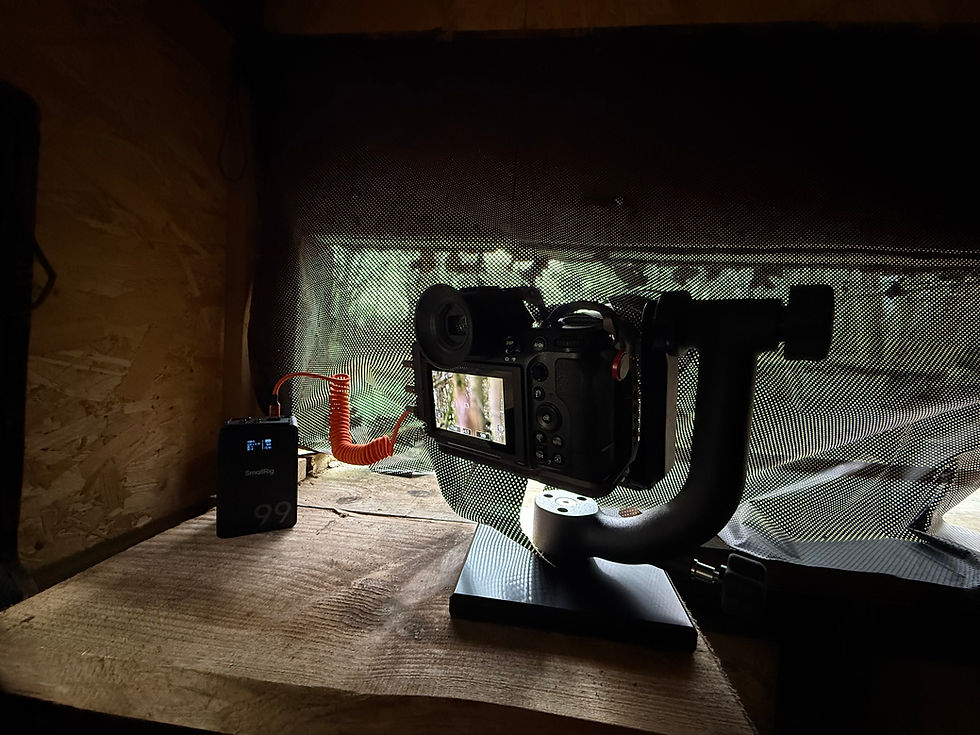 Nikon Z8 with NIKKOR Z 180-600mm mounted on a gimbal head inside a wildlife hide, connected to a USB-C power bank for extended battery life.