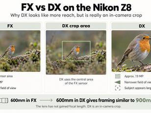 Infographic comparing FX and DX modes on the Nikon Z8, showing full-frame capture, the central DX crop area, and the tighter DX result.