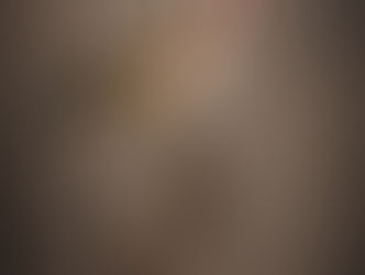 European Goldfinch perched on alder cones in soft woodland light