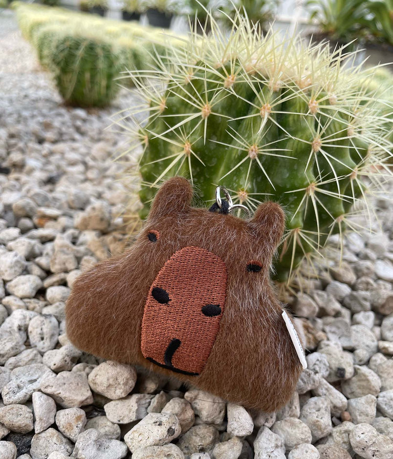 Capybara keychain.jpg