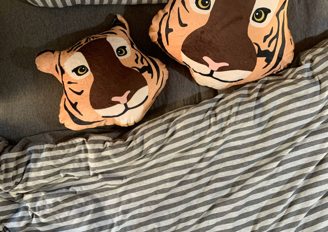 Photo 28-12-2563 BE 11 43 27.jpg