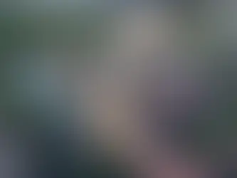 Disney’s Hollywood Studios: The "Monstropolis" Transformation