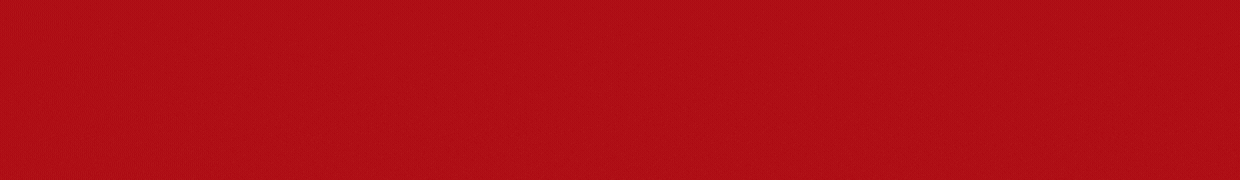 Pag Web Año Nuevo.gif