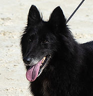 11_Terramar Nordes X-Jewel (3).jpg