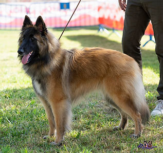 28 - Matylda´S Ungara.jpg