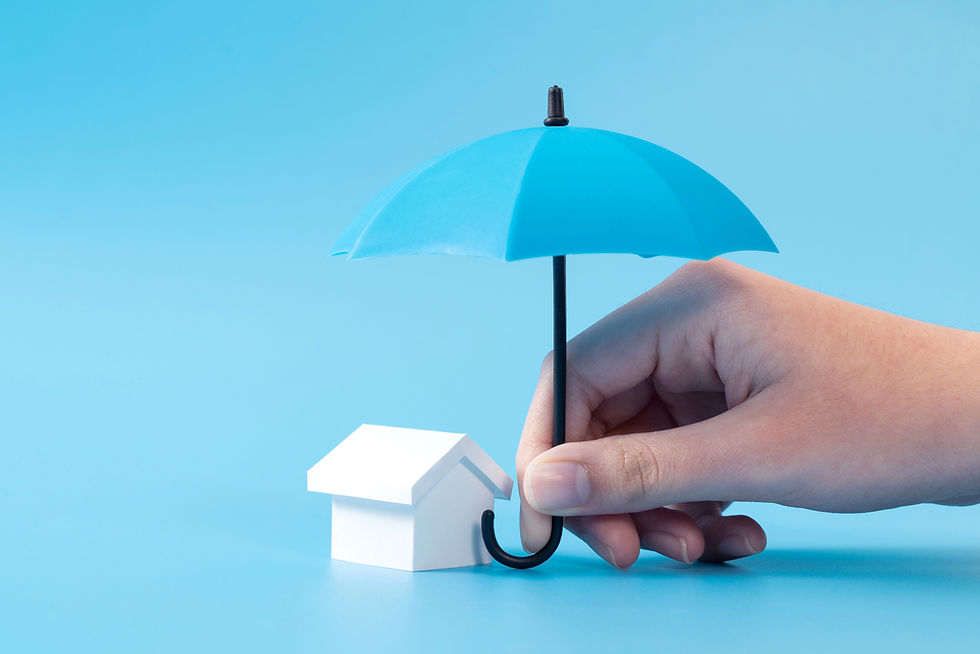 mini house with blue umbrella over it