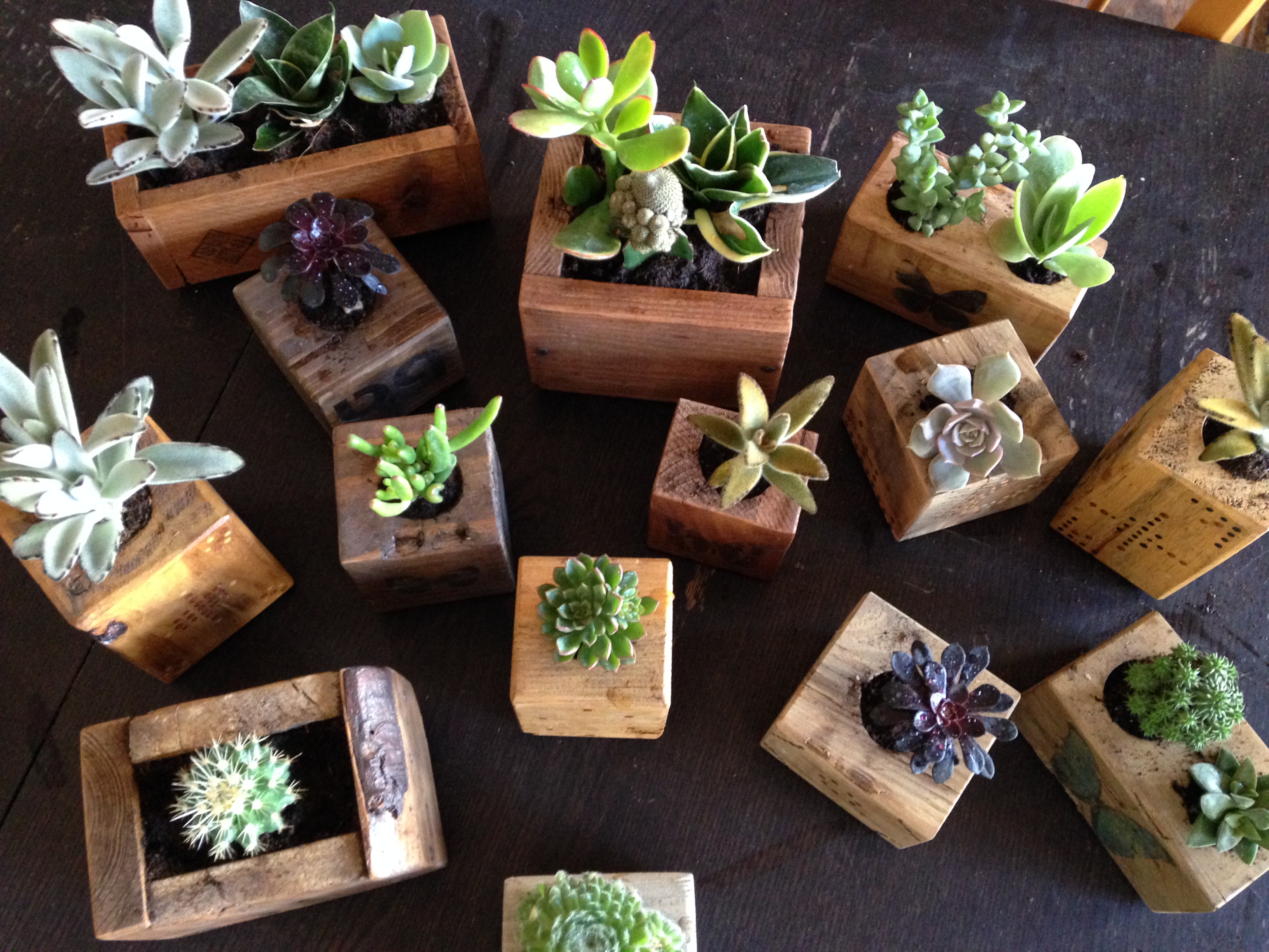 Contenants en bois
