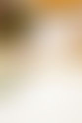 Capturing Pressie: Turning Brand Moments Into Memorable Images