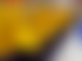 Let SSI create a cost-effective and efficient conveyor system for your operation.