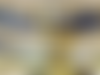 Moving Beyond "Just a Belt": How Custom Conveyor Systems Drive Modern ROI