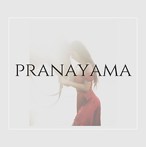 Alquimia app | Maria de los angeles Bugnon