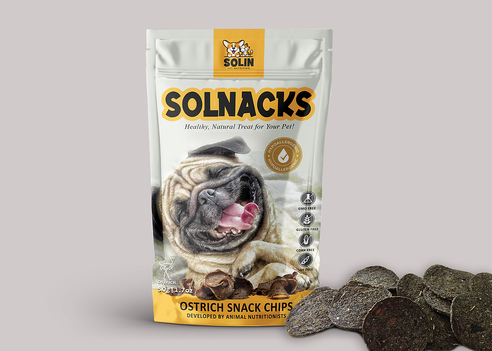 SOLNACKS Ostrich Snack Chips (Original)