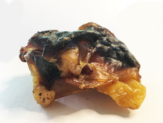 SOLNACKS Ostrich Knee Caps - Ostrich Pet Treats