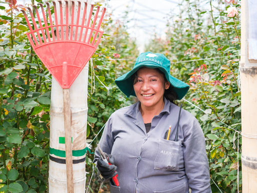 Women on the Farm: Growth and Opportunity in an Evolving Industry at Alexandra Farms