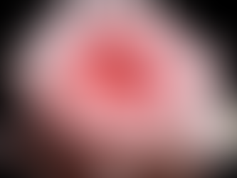 Breathtaking Timelapse Videos Illustrate the Life of a Fresh-Cut Garden Rose