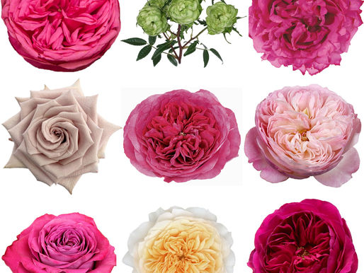 Passion, Invention Lead 2023 Floral Trends