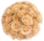 ree