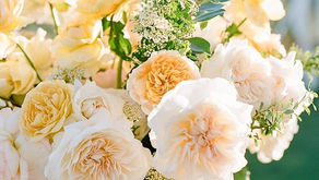 Wedding Roses & Garden Shrubs: The Difference
