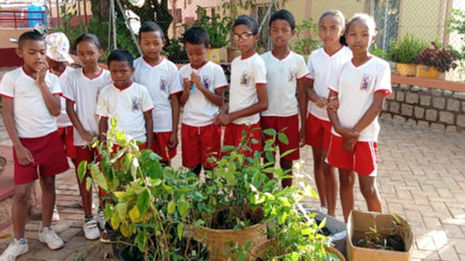 🌱 Planter l’avenir : une journée de solidarité au Collège Sainte-Cécile