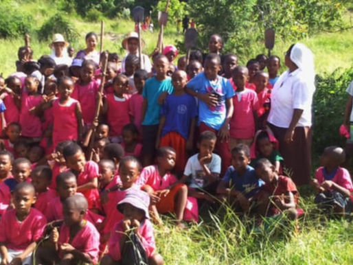 Des nouvelles de Maintirano le temps du reboisement