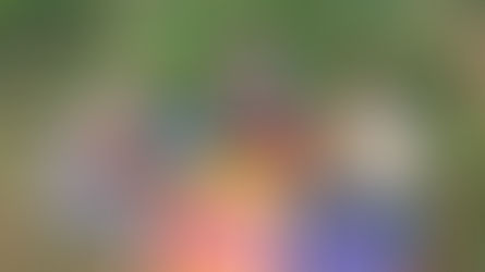 Belle-Vue, dans toute sa beauté