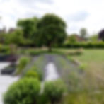 Ian Green seasonal-garden-design-reflection