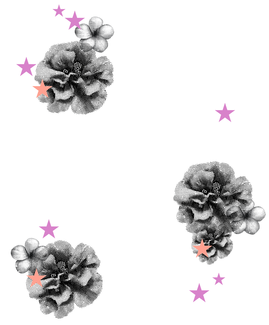 case study static