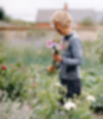 Holly’s Garden Kitchen Home Farm