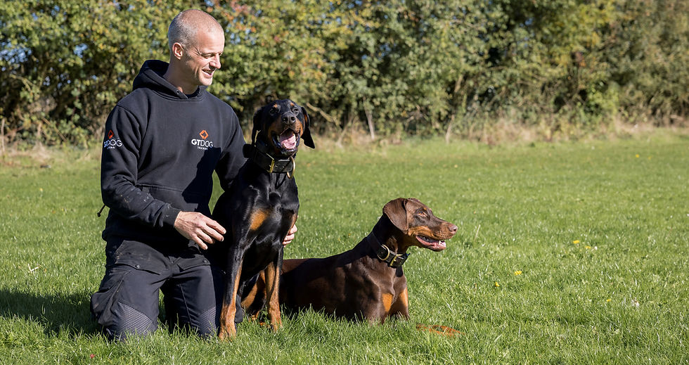 Lasting change dog training GT Dog Training