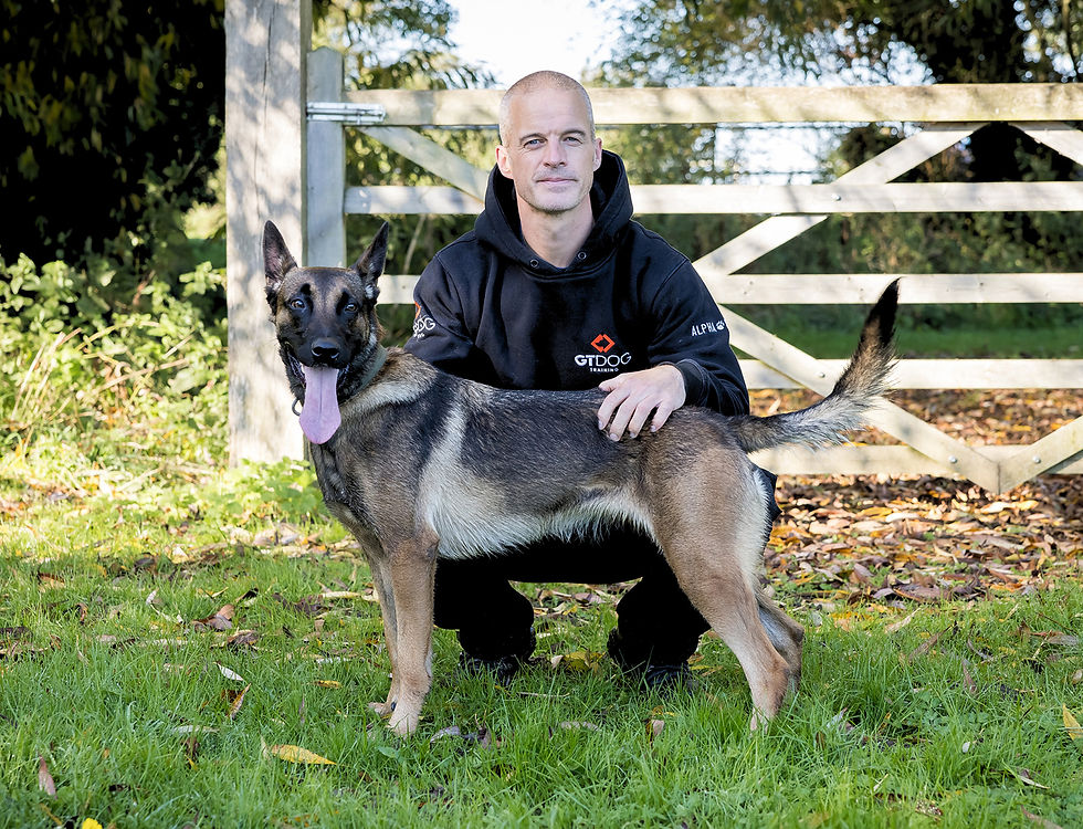 Dog-owner bond building GT Dog Training