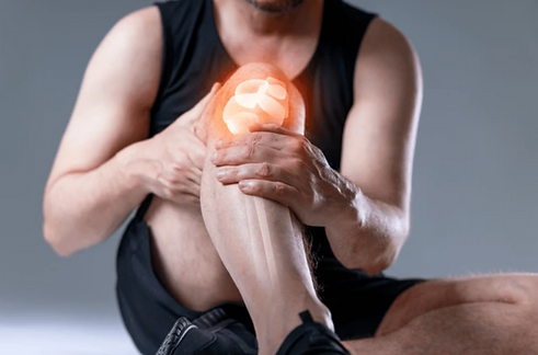 knee orthopedic