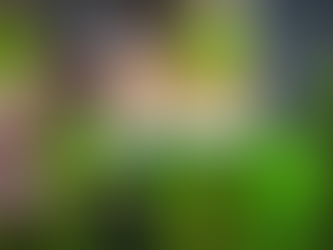 Unveiling the Potential of the Indian Stock Market: A Journey of Opportunities