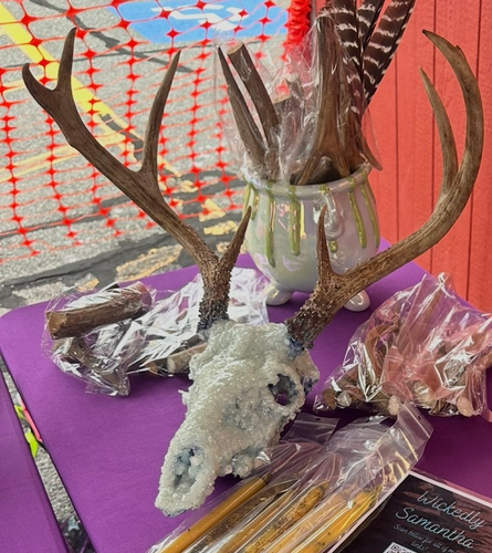 Deer Skull | Wickedly Samantha