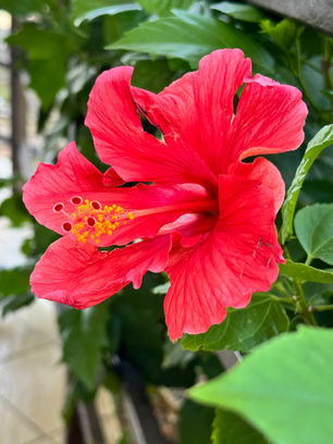 Why I Created the Bloom With Spring Retreat