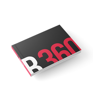 B360 Institutional Brief copy.png