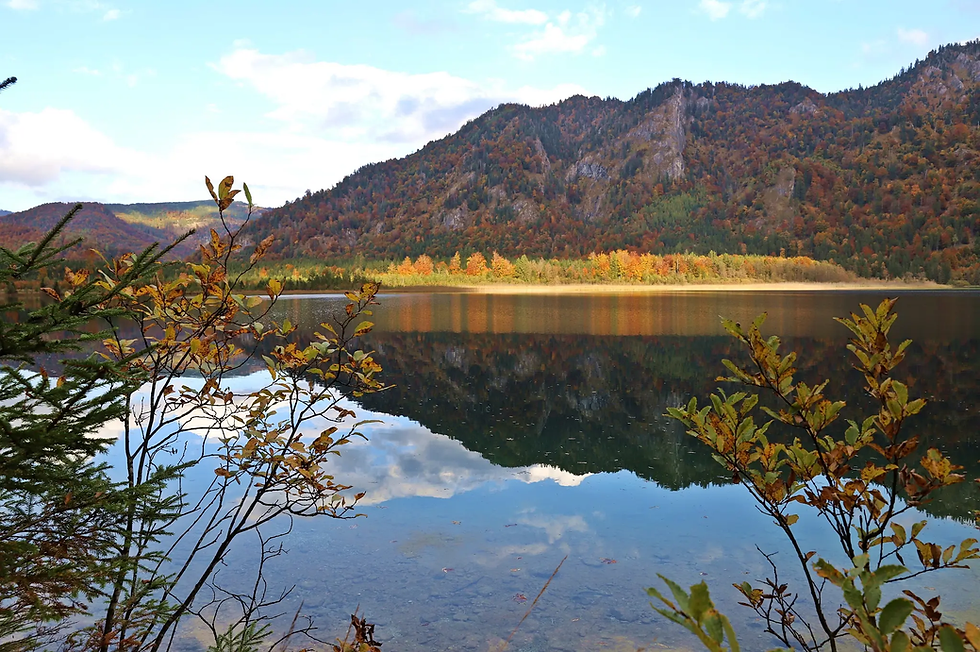 Offensee bei Ebensee im Herbst – Bergsee mit herbstlicher Landschaft
