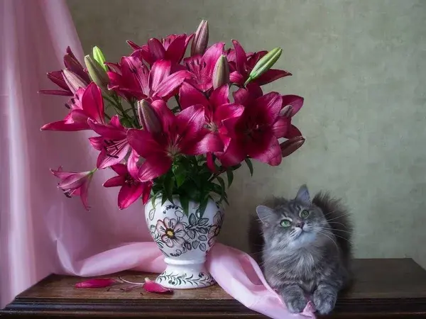 Lily Poisoning in Cats: Symptoms and Emergency Actions