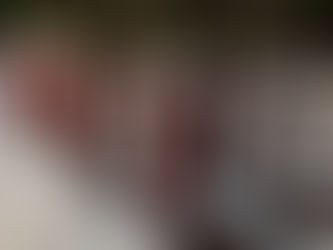 Epic battles at Gallipoli and Troy: Achilles in the Trench