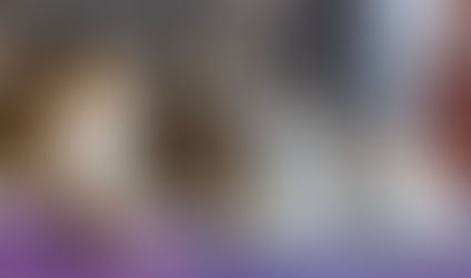 For the cats of Istanbul, life isn't always the cat's meow