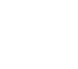 Donate, Shop, & Volunteer!