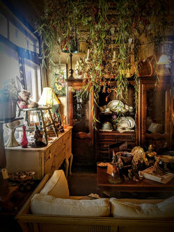 Sell or Buy Vintage Treasures in NWA
