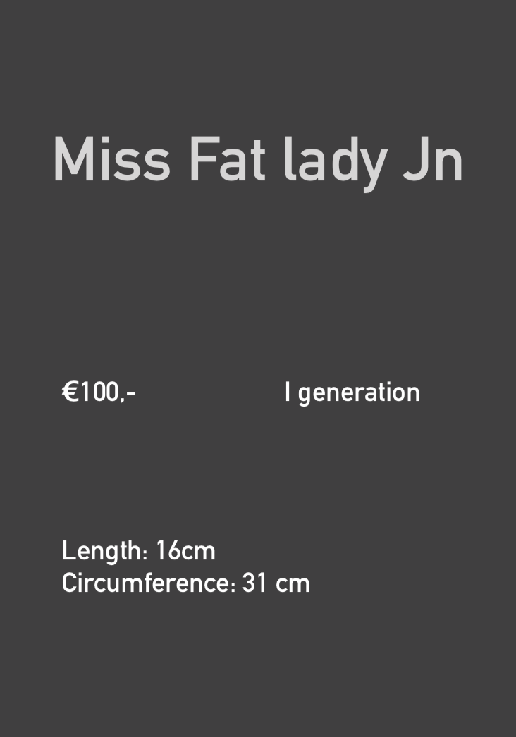 Schermafbeelding 2020-09-05 om 16.02.25.