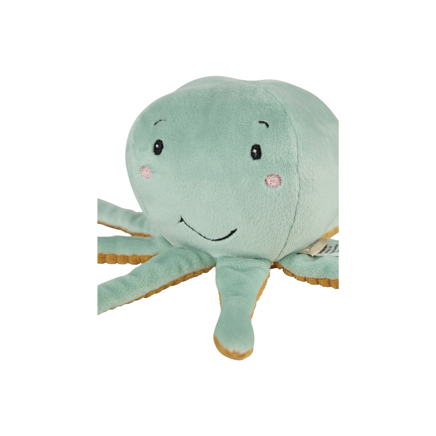 Sterntaler Kuscheltier Octupus Nahaufnahme